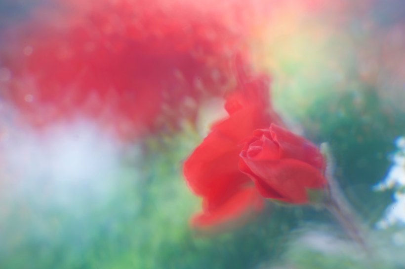 torsten-dederichs-1073521-unsplash